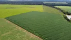 Foto 2 de Fazenda/Sítio com 7 Quartos à venda, 300m² em , Porto dos Gaúchos