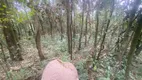 Foto 6 de Lote/Terreno à venda, 1200m² em , Brumadinho