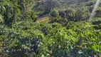 Foto 9 de Fazenda/Sítio com 3 Quartos à venda, 205000m² em Zona Rural, Jacutinga