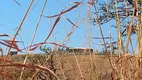 Foto 20 de Fazenda/Sítio à venda, 40000m² em Area Rural do Gama, Brasília