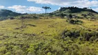 Foto 6 de Fazenda/Sítio à venda, 2000m² em Criúva, Caxias do Sul