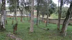 Foto 49 de Fazenda/Sítio com 3 Quartos à venda, 4000m² em Borda do Campo, São José dos Pinhais