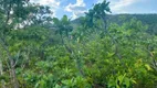 Foto 27 de Fazenda/Sítio com 2 Quartos à venda, 11m² em Zona Rural, Colinas do Sul