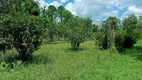 Foto 40 de Fazenda/Sítio com 4 Quartos à venda, 51000m² em Centro, Juquitiba