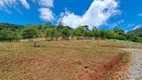 Foto 13 de Fazenda/Sítio com 2 Quartos à venda, 218m² em Esplanada, Caxias do Sul