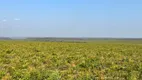 Foto 9 de Fazenda/Sítio à venda, 15700m² em Zona Rural, Alto Parnaíba