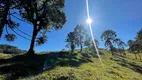 Foto 31 de Fazenda/Sítio à venda, 140000m² em Centro, Rancho Queimado