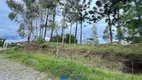 Foto 12 de Lote/Terreno à venda, 450m² em Bela Vista, Caxias do Sul