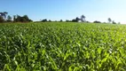 Foto 34 de Fazenda/Sítio com 1 Quarto à venda, 1100000m² em Zona Rural, São Gotardo