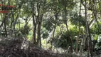 Foto 16 de Fazenda/Sítio à venda, 372000m² em Quatinga, Mogi das Cruzes
