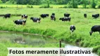 Foto 13 de Fazenda/Sítio à venda, 2000m² em Area Rural de Ourinhos, Ourinhos