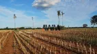 Foto 8 de Fazenda/Sítio à venda, 1380000m² em Zona Rural, Itapuranga