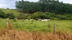 Foto 11 de Fazenda/Sítio com 2 Quartos à venda, 120m² em Area Rural de Capao Bonito, Capão Bonito