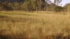 Foto 8 de Lote/Terreno à venda, 45000000m² em Setor Central, Taipas do Tocantins