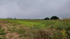 Foto 3 de Fazenda/Sítio à venda, 86000m² em Chacaras Benvenuto IV, Artur Nogueira