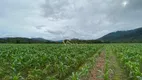 Foto 15 de Fazenda/Sítio à venda, 150m² em , Paulo Lopes