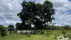 Foto 14 de Fazenda/Sítio à venda em Zona Rural, Araguapaz