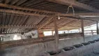 Foto 3 de Fazenda/Sítio com 2 Quartos à venda, 70m² em Zona Rural, Angatuba