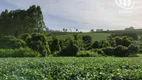 Foto 18 de Fazenda/Sítio à venda, 3000000m² em Centro, Divisa Nova