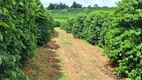 Foto 12 de Fazenda/Sítio à venda, 455000m² em Zona Rural, Turvolândia