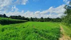 Foto 11 de Lote/Terreno à venda, 10m² em Campo Largo da Roseira, São José dos Pinhais