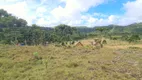 Foto 39 de Imóvel Comercial à venda, 200000m² em Centro, São Joaquim