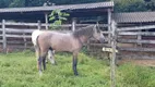 Foto 25 de Fazenda/Sítio com 3 Quartos à venda, 400000m² em Area Rural de Cidade Ocidental, Cidade Ocidental