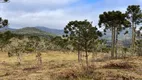 Foto 4 de Lote/Terreno à venda, 20000m² em Centro, Urubici