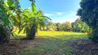 Foto 4 de Fazenda/Sítio com 4 Quartos à venda, 600m² em Bananal, Campinas
