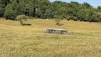 Foto 2 de Fazenda/Sítio com 3 Quartos à venda, 55000m² em Zona Rural, Porto Feliz