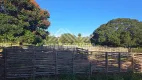 Foto 4 de Fazenda/Sítio com 3 Quartos à venda, 10m² em Centro, Luislândia