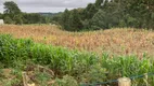 Foto 29 de Fazenda/Sítio à venda, 24000m² em Zona Rural, Mandirituba