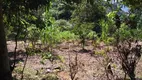 Foto 7 de Fazenda/Sítio com 4 Quartos à venda, 12m² em Sao Domingos, Coronel Fabriciano
