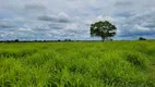 Foto 6 de Fazenda/Sítio à venda, 6135000m² em Zona Rural, Santo Antônio do Leverger