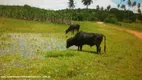 Foto 3 de Fazenda/Sítio com 3 Quartos à venda, 170000000m² em Extremoz, Extremoz