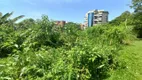 Foto 12 de Lote/Terreno à venda, 468m² em Jardim Vitoria Regia, São Paulo