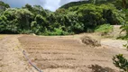 Foto 16 de Fazenda/Sítio com 1 Quarto à venda, 10000m² em Campo Limpo, Teresópolis