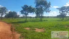 Foto 12 de Fazenda/Sítio com 4 Quartos à venda, 168m² em Zona Rural, Vila Propício