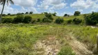 Foto 14 de Fazenda/Sítio com 3 Quartos à venda, 2000m² em , Monte Alegre