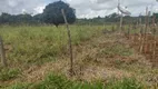 Foto 3 de Fazenda/Sítio com 3 Quartos à venda, 20000m² em Recanto das Emas, Brasília