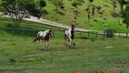 Foto 3 de Fazenda/Sítio com 5 Quartos para venda ou aluguel, 990m² em Joaquim Egídio, Campinas