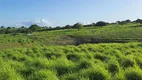 Foto 17 de Fazenda/Sítio à venda, 200000m² em , Monte Alegre