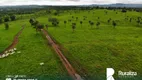 Foto 3 de Fazenda/Sítio à venda, 372m² em Zona Rural, Abreulândia