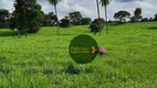 Foto 3 de Fazenda/Sítio à venda, 3630000m² em Zona Rural, Porangatu
