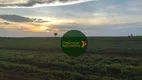 Foto 4 de Fazenda/Sítio à venda, 1540000m² em Zona Rural, Marianópolis do Tocantins