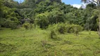 Foto 21 de Fazenda/Sítio à venda, 67500m² em Zona Rural, Delfim Moreira