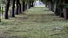 Foto 21 de Fazenda/Sítio com 8 Quartos à venda, 500m² em Caminho da Prainha, Aquiraz