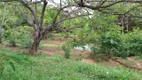 Foto 21 de Fazenda/Sítio com 3 Quartos à venda, 100000m² em Corrego Rico, Planaltina