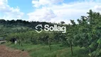 Foto 23 de Fazenda/Sítio com 2 Quartos à venda, 700m² em Reforma Agraria, Valinhos