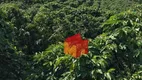 Foto 8 de Fazenda/Sítio à venda, 96800m² em Zona Rural, São José do Rio Pardo